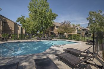 Pool & lounge chairs